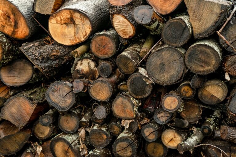 Close-up of stacked logs showing natural textures and patterns, suitable for firewood or decor.