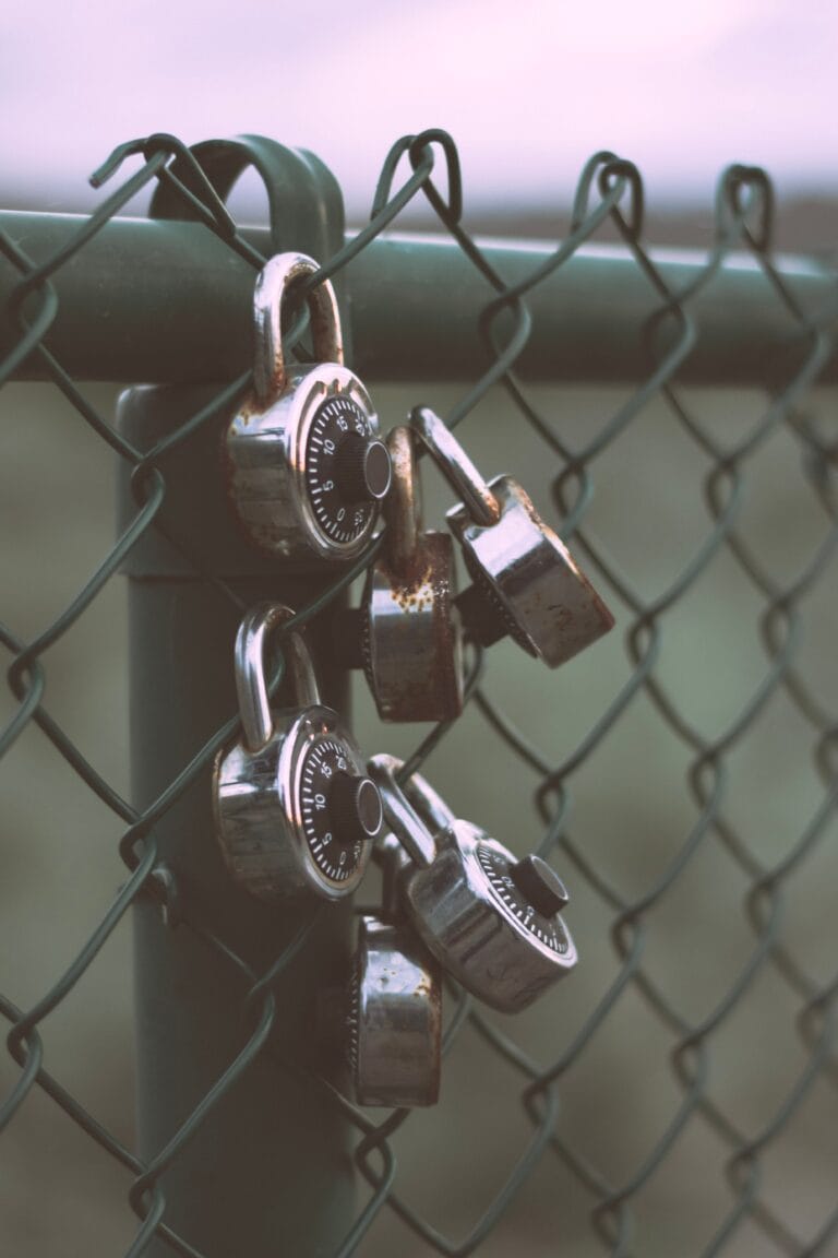 Multiple padlocks securing a green chain link fence, symbolizing safety and protection.