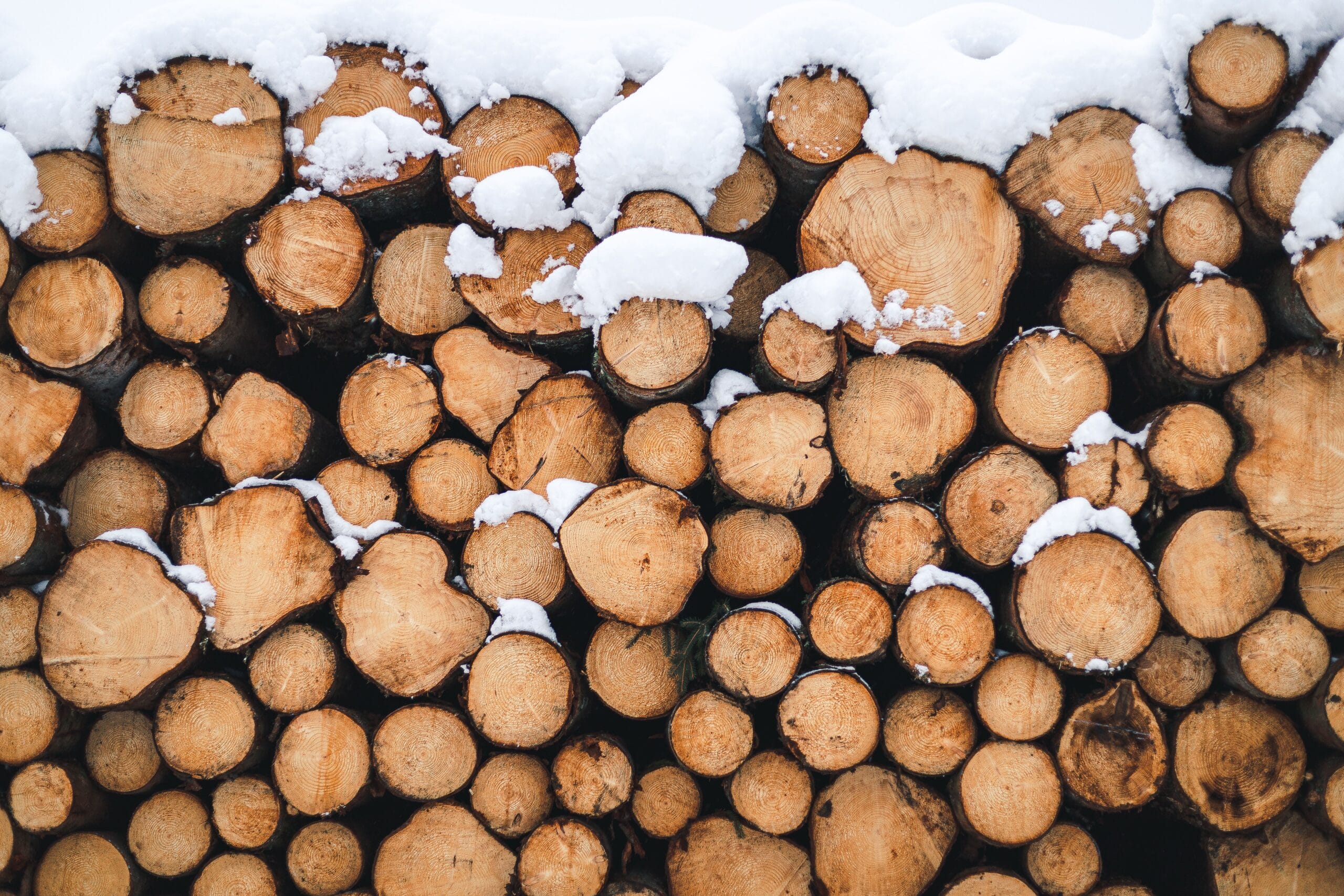 Stack of cut logs covered in snow, showcasing a cold winter texture and woody elements.