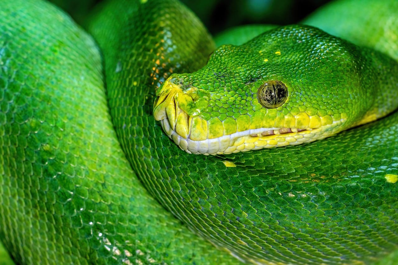 Python code processed in batches with itertools.batched