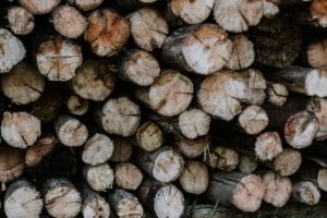 A top view of stacked timber logs showcasing natural textures and patterns.