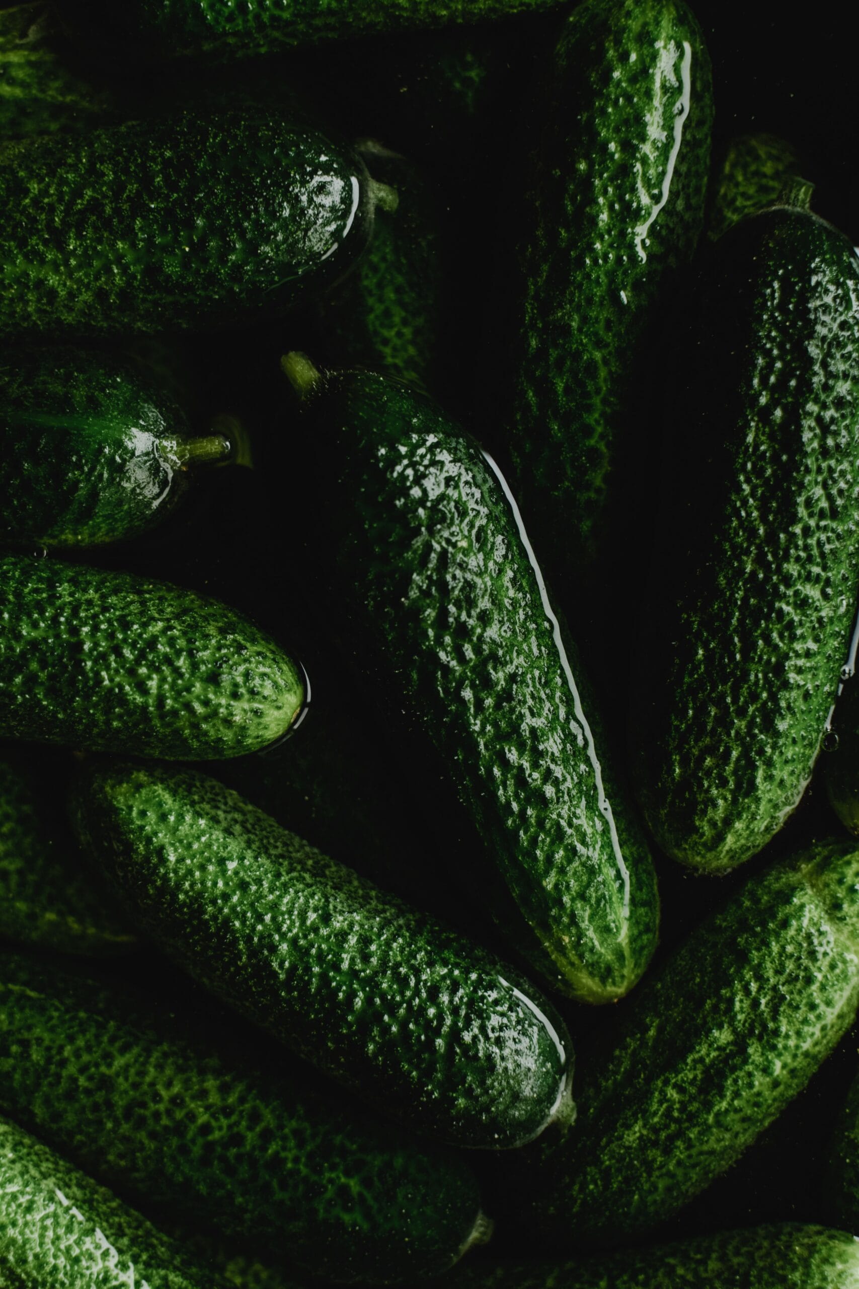 A close-up view of fresh, green cucumbers ready for pickling and preservation in Estonia.