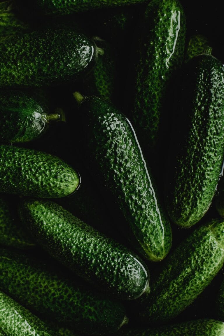 A close-up view of fresh, green cucumbers ready for pickling and preservation in Estonia.